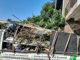 Best Commercial Junk Removal  in Waimanalo, HI